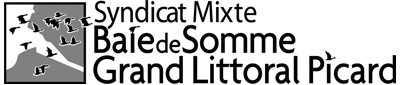 logo_sm_banniere-2